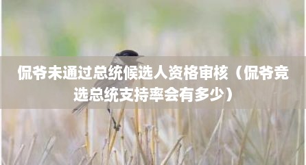 侃爷未通过总统候选人资格审核（侃爷竞选总统支持率会有多少）