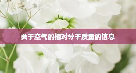 关于空气的相对分子质量的信息