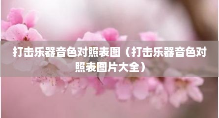 打击乐器音色对照表图（打击乐器音色对照表图片大全）