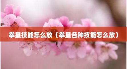 拳皇技能怎么放（拳皇各种技能怎么放）