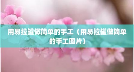 用易拉罐做简单的手工（用易拉罐做简单的手工图片）