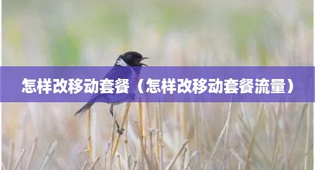怎样改移动套餐（怎样改移动套餐流量）
