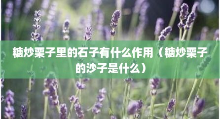 糖炒栗子里的石子有什么作用（糖炒栗子的沙子是什么）