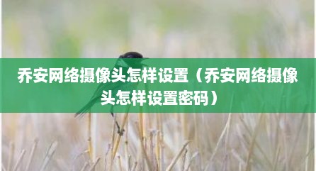 乔安网络摄像头怎样设置（乔安网络摄像头怎样设置密码）