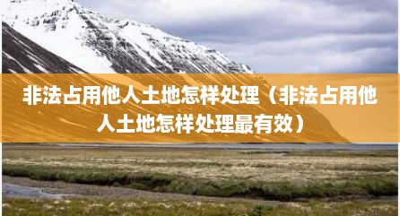 非法占用他人土地怎样处理（非法占用他人土地怎样处理最有效）