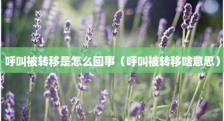 呼叫被转移是怎么回事（呼叫被转移啥意思）