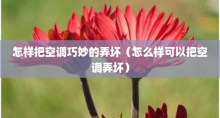 怎样把空调巧妙的弄坏（怎么样可以把空调弄坏）