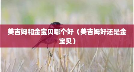 美吉姆和金宝贝哪个好（美吉姆好还是金宝贝）
