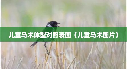 儿童马术体型对照表图（儿童马术图片）