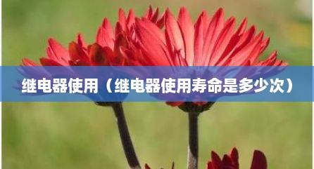 继电器使用（继电器使用寿命是多少次）