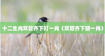 十二生肖双管齐下打一肖（双管齐下猜一肖）