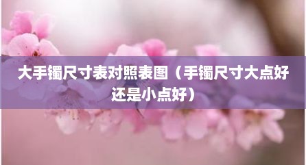 大手镯尺寸表对照表图（手镯尺寸大点好还是小点好）