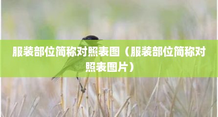 服装部位简称对照表图（服装部位简称对照表图片）