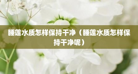 睡莲水质怎样保持干净（睡莲水质怎样保持干净呢）