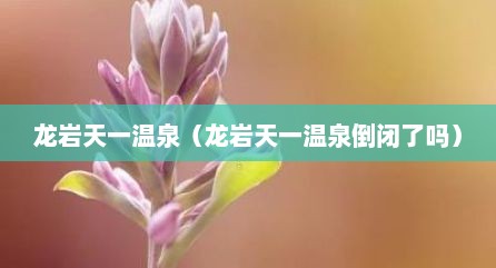 龙岩天一温泉（龙岩天一温泉倒闭了吗）