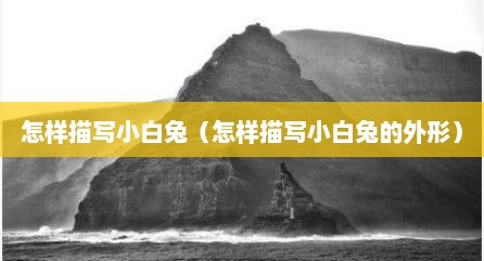 怎样描写小白兔（怎样描写小白兔的外形）