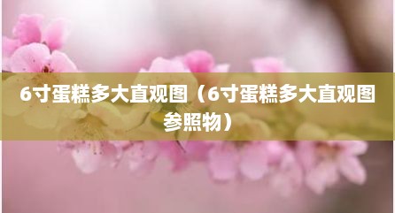 6寸蛋糕多大直观图（6寸蛋糕多大直观图参照物）