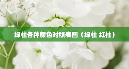 绿柱各种颜色对照表图（绿柱 红柱）