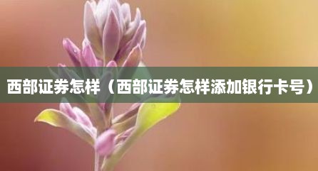 西部证券怎样（西部证券怎样添加银行卡号）