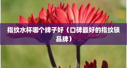 指纹水杯哪个牌子好（口碑最好的指纹锁品牌）