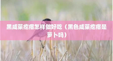 黑咸菜疙瘩怎样做好吃（黑色咸菜疙瘩是萝卜吗）