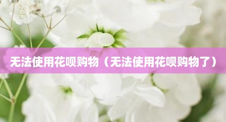 无法使用花呗购物（无法使用花呗购物了）