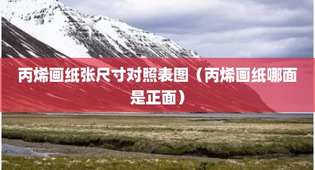 丙烯画纸张尺寸对照表图（丙烯画纸哪面是正面）