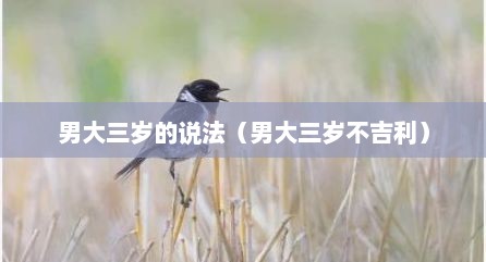 男大三岁的说法（男大三岁不吉利）