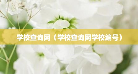 学校查询网（学校查询网学校编号）