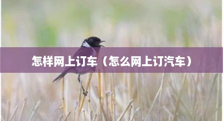 怎样网上订车（怎么网上订汽车）
