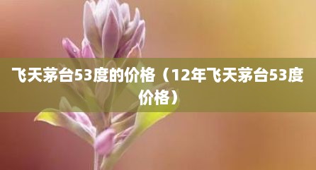 飞天茅台53度的价格（12年飞天茅台53度价格）