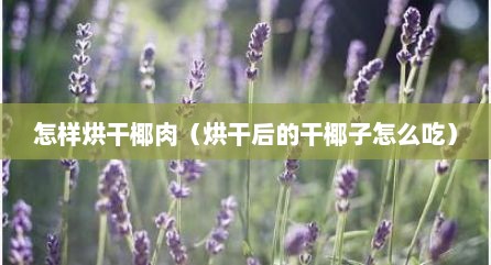 怎样烘干椰肉（烘干后的干椰子怎么吃）