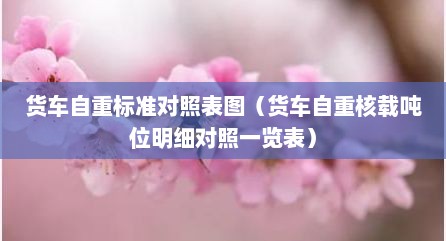 货车自重标准对照表图（货车自重核载吨位明细对照一览表）