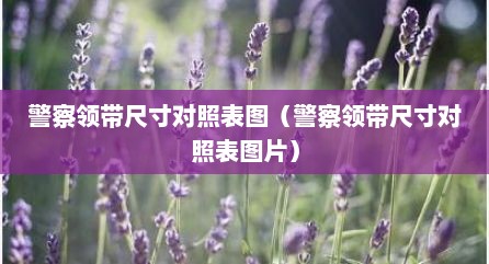 警察领带尺寸对照表图（警察领带尺寸对照表图片）