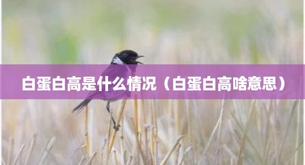 白蛋白高是什么情况（白蛋白高啥意思）