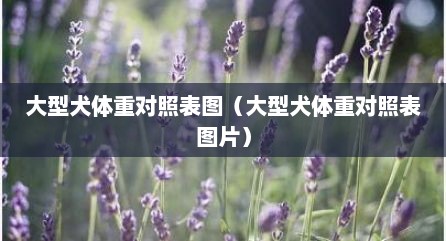 大型犬体重对照表图（大型犬体重对照表图片）