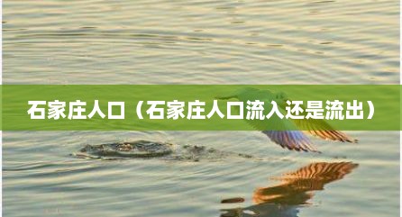 石家庄人口（石家庄人口流入还是流出）