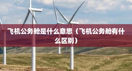 飞机公务舱是什么意思（飞机公务舱有什么区别）
