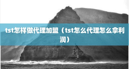tst怎样做代理加盟（tst怎么代理怎么拿利润）