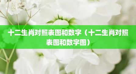 十二生肖对照表图和数字（十二生肖对照表图和数字图）