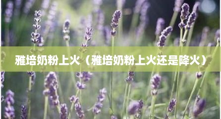 雅培奶粉上火（雅培奶粉上火还是降火）