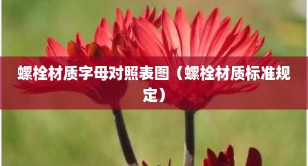 螺栓材质字母对照表图（螺栓材质标准规定）