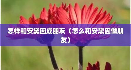 怎样和安黛因成朋友（怎么和安黛因做朋友）