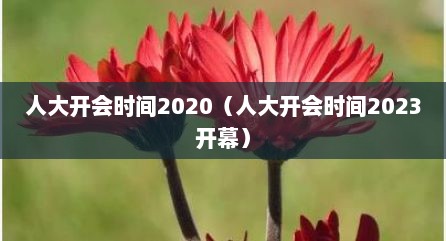 人大开会时间2020（人大开会时间2023开幕）