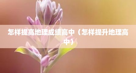 怎样提高地理成绩高中（怎样提升地理高中）