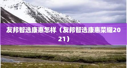 友邦智选康惠怎样（友邦智选康惠荣耀2021）