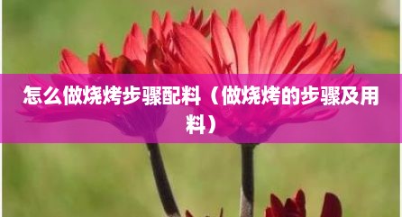 怎么做烧烤步骤配料（做烧烤的步骤及用料）
