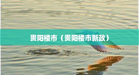 贵阳楼市（贵阳楼市新政）
