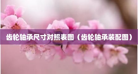 齿轮轴承尺寸对照表图（齿轮轴承装配图）