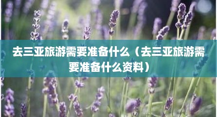 去三亚旅游需要准备什么（去三亚旅游需要准备什么资料）